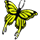 butterfly_stable_02_orange_breedingicon_small.png