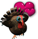 category_turkey.png