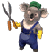 Koala.png