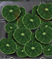 upload_2026-6-24_10-48-39.png